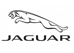 Jaguar Brillen
